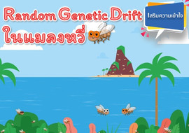 วีดิทัศน์ : Random Genetic Drift ในแมลงหวี่ รูปภาพ 1